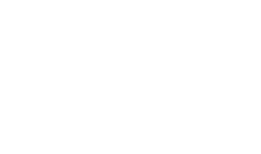 Ally Bridge Group